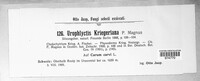 Physoderma kriegeriana image